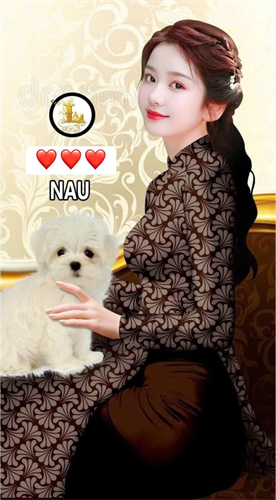 Vải lụa